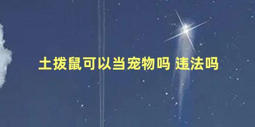 土拨鼠可以当宠物吗 违法吗